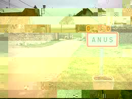 Anus.jpg